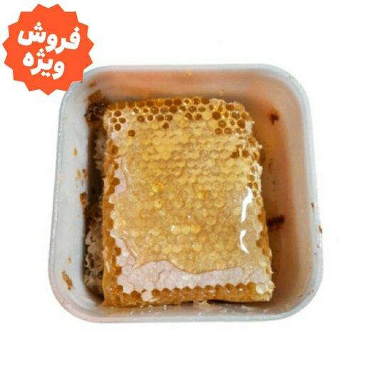 عسل طبیعی آویشن باموم  بالچی (1 کیلوگرم) ( از زنبوردار نمونه و )